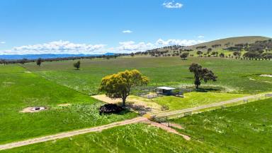 Lifestyle For Sale - NSW - Tamworth - 2340 - LOCATION & SCALE - GRANDVIEW  (Image 2)