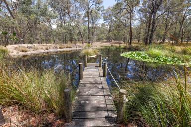 Acreage/Semi-rural For Sale - VIC - Heyfield - 3858 - Home Among The Gum Trees & Completely Off-Grid  (Image 2)