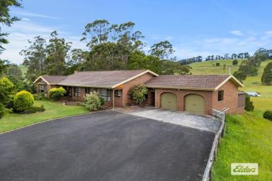 House For Sale - TAS - West Ulverstone - 7315 - CHARMING HOBBY FARM IN PRIME LOCATION - A HORSE LOVER'S DREAM!  (Image 2)