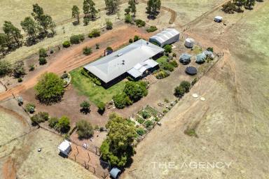 Acreage/Semi-rural For Sale - WA - Throssell - 6401 - "The Perfect Rural Package"  (Image 2)