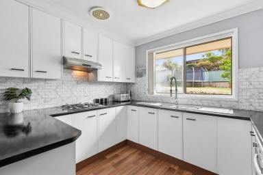 House For Sale - NSW - Coffs Harbour - 2450 - Spacious family retreat.  (Image 2)