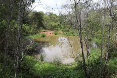 Residential Block For Sale - QLD - North Deep Creek - 4570 - YOUR OWN VALLEY  (Image 2)