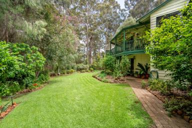 House For Sale - WA - Pemberton - 6260 - Stunning Family Home with Majestic Karri Forest Views  (Image 2)