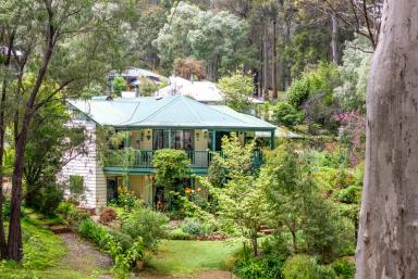 House For Sale - WA - Pemberton - 6260 - Stunning Family Home with Majestic Karri Forest Views  (Image 2)