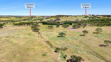 Mixed Farming For Sale - NSW - Goulburn - 2580 - Your Perfect Rural Retreat with town convenience  (Image 2)