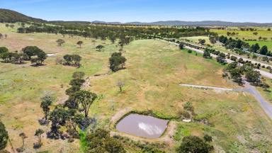 Mixed Farming For Sale - NSW - Goulburn - 2580 - Your Perfect Rural Retreat with town convenience  (Image 2)