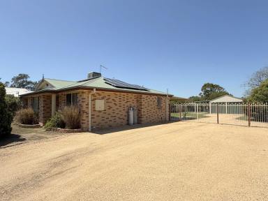 House For Lease - NSW - Moree - 2400 - Large Family Home  (Image 2)