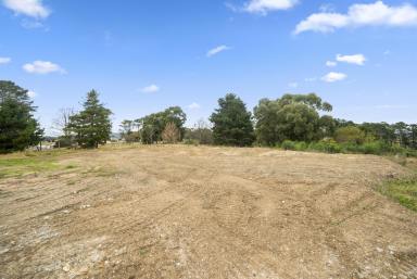 Residential Block For Sale - NSW - Wallerawang - 2845 - Large Development block  (Image 2)