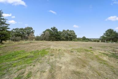 Residential Block For Sale - NSW - Wallerawang - 2845 - Large Development block  (Image 2)