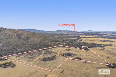 Residential Block For Sale - VIC - Landsborough - 3384 - Build Your Dream Home  (Image 2)