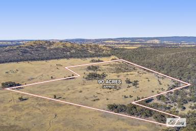 Residential Block For Sale - VIC - Landsborough - 3384 - Rare 90 Acre Rural Lifestyle Opportunity  (Image 2)