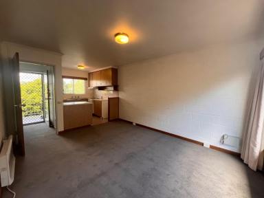 Unit Leased - TAS - West Hobart - 7000 - Newly updated 1 bedroom unit in the middle of it all!  (Image 2)