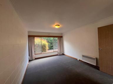 Unit Leased - TAS - West Hobart - 7000 - Newly updated 1 bedroom unit in the middle of it all!  (Image 2)