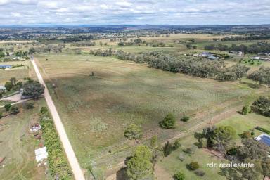 Lifestyle For Sale - NSW - Inverell - 2360 - 40 ACRES OF POSSIBILITIES  (Image 2)