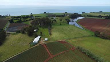 Mixed Farming For Sale - TAS - Boat Harbour - 7321 - Rare Opporunity  (Image 2)