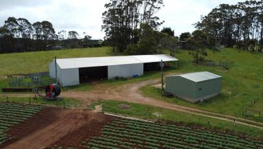 Mixed Farming For Sale - TAS - Boat Harbour - 7321 - Rare Opporunity  (Image 2)