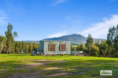 Lifestyle For Sale - VIC - Mount Cole Creek - 3377 - Private Mountain Getaway - 80 Acre Bush Block  (Image 2)