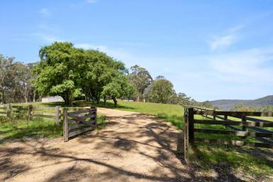 Farmlet For Sale - VIC - Boonah - 3235 - DELIGHTFUL OTWAYS DISTRICT HOLDING  (Image 2)