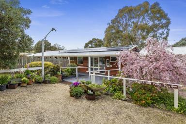 Other (Rural) For Sale - VIC - Winchelsea South - 3241 - Multi-Award Winning Tourism Business & Property in the Heart of Nature  (Image 2)