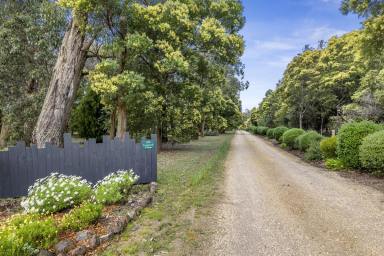 Other (Rural) For Sale - VIC - Winchelsea South - 3241 - Multi-Award Winning Tourism Business & Property in the Heart of Nature  (Image 2)