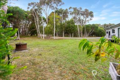 Residential Block For Sale - VIC - Walkerville - 3956 - FLAT AND PEACEFUL BLOCK  (Image 2)