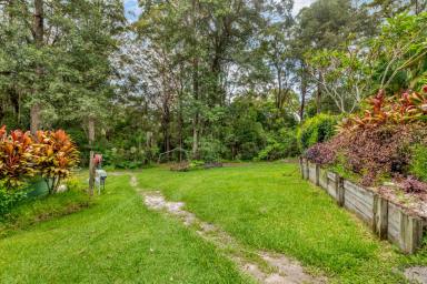 House For Lease - QLD - Tinbeerwah - 4563 - Single level home on 2.4 acres  (Image 2)