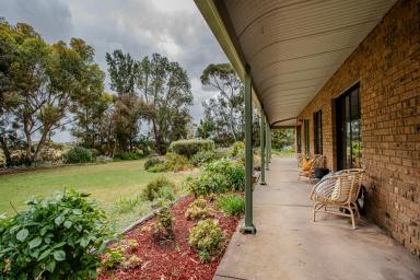 House For Sale - SA - Naracoorte - 5271 - An idyllic lifestyle property with the perfect blend of rural serenity and urban convenience  (Image 2)