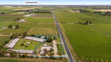 House For Sale - SA - Coonawarra - 5263 - Versatile Opportunity in the Heart of Coonawarra  (Image 2)