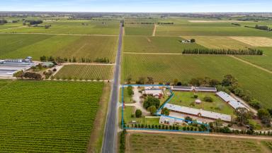 House For Sale - SA - Coonawarra - 5263 - Versatile Opportunity in the Heart of Coonawarra  (Image 2)