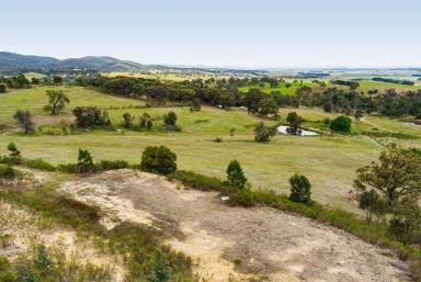 Lifestyle For Sale - NSW - Goulburn - 2580 - North Facing Rural Vistas  (Image 2)