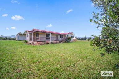 Acreage/Semi-rural Sold - NSW - Cedar Party - 2429 - FORTY ACRES OF FREEDOM  (Image 2)