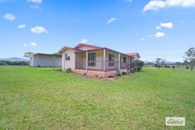 Acreage/Semi-rural Sold - NSW - Cedar Party - 2429 - FORTY ACRES OF FREEDOM  (Image 2)