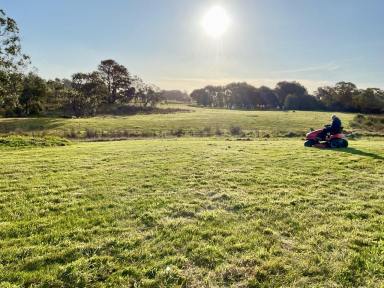 Residential Block For Sale - VIC - Ruffy - 3666 - 7,348m2 approx. block in Ruffy. The Shed is Already Built  (Image 2)