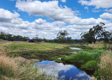 Residential Block For Sale - VIC - Ruffy - 3666 - 7,348m2 approx. block in Ruffy. The Shed is Already Built  (Image 2)