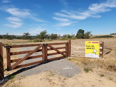 Residential Block For Sale - VIC - Ruffy - 3666 - 7,348m2 approx. block in Ruffy. The Shed is Already Built  (Image 2)