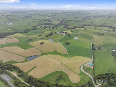 Dairy Sold - VIC - Fish Creek - 3959 - Highly Productive Dairy Operation  (Image 2)