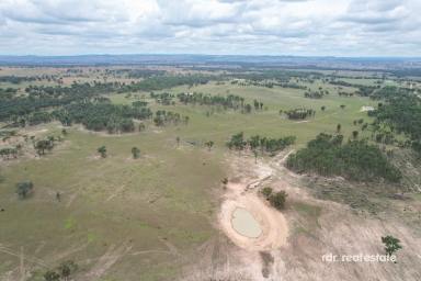 Mixed Farming For Sale - NSW - Ashford - 2361 - 2900 ACRES OF MIXED FARMING  (Image 2)