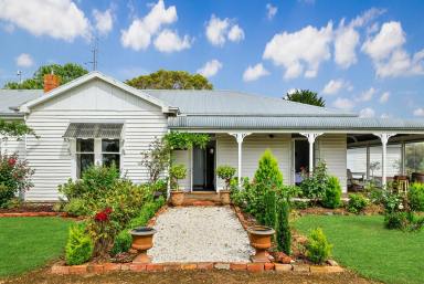 Lifestyle For Sale - VIC - Woolsthorpe - 3276 - "Haslingden"- Charming Woolsthorpe District Lifestyle Property  (Image 2)