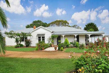 Lifestyle For Sale - VIC - Woolsthorpe - 3276 - "Haslingden"- Charming Woolsthorpe District Lifestyle Property  (Image 2)