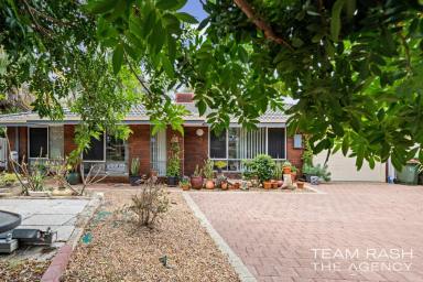 House For Sale - WA - Beechboro - 6063 - Family Living Meets Investment Potential in Beechboro  (Image 2)