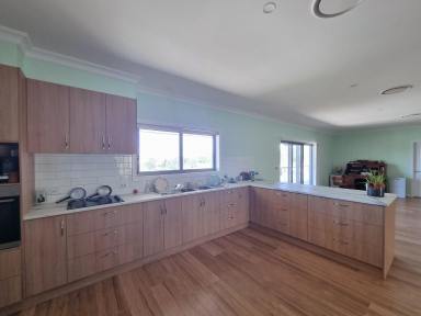 House For Sale - NSW - Gundagai - 2722 - Large recently built family home  (Image 2)