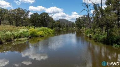 Livestock For Sale - NSW - Kingstown - 2358 - HIGH RAINFALL GRAZING WITH SCOPED CARBON PROJECT (Image 2)