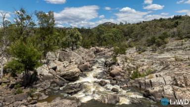 Livestock For Sale - NSW - Kingstown - 2358 - HIGH RAINFALL GRAZING WITH SCOPED CARBON PROJECT (Image 2)
