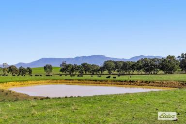 Mixed Farming For Sale - VIC - Moyston - 3377 - Stunning 160 Acre Lifestyle or Farming Property - Grampians Views  (Image 2)