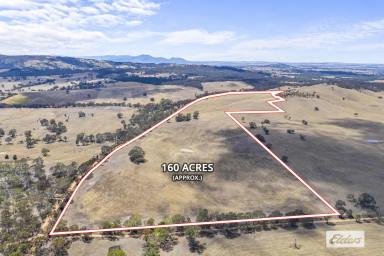 Mixed Farming For Sale - VIC - Moyston - 3377 - Stunning 160 Acre Lifestyle or Farming Property - Grampians Views  (Image 2)