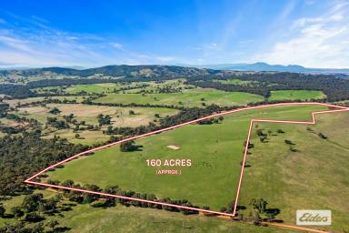 Mixed Farming For Sale - VIC - Moyston - 3377 - Stunning 160 Acre Lifestyle or Farming Property - Grampians Views  (Image 2)