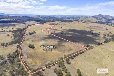 Mixed Farming For Sale - VIC - Moyston - 3377 - Stunning 160 Acre Lifestyle or Farming Property - Grampians Views  (Image 2)