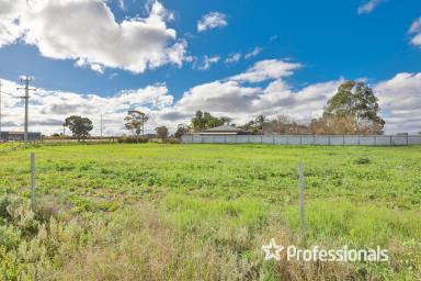 Other (Rural) For Sale - VIC - Mildura - 3500 - Prime Deakin Avenue Land on 3.8Ha  (Image 2)