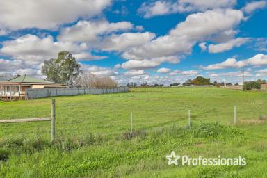 Other (Rural) For Sale - VIC - Mildura - 3500 - Prime Deakin Avenue Land on 3.8Ha  (Image 2)