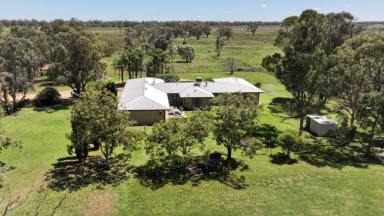 Acreage/Semi-rural For Sale - NSW - Moree - 2400 - "Illourie" Moree  (Image 2)